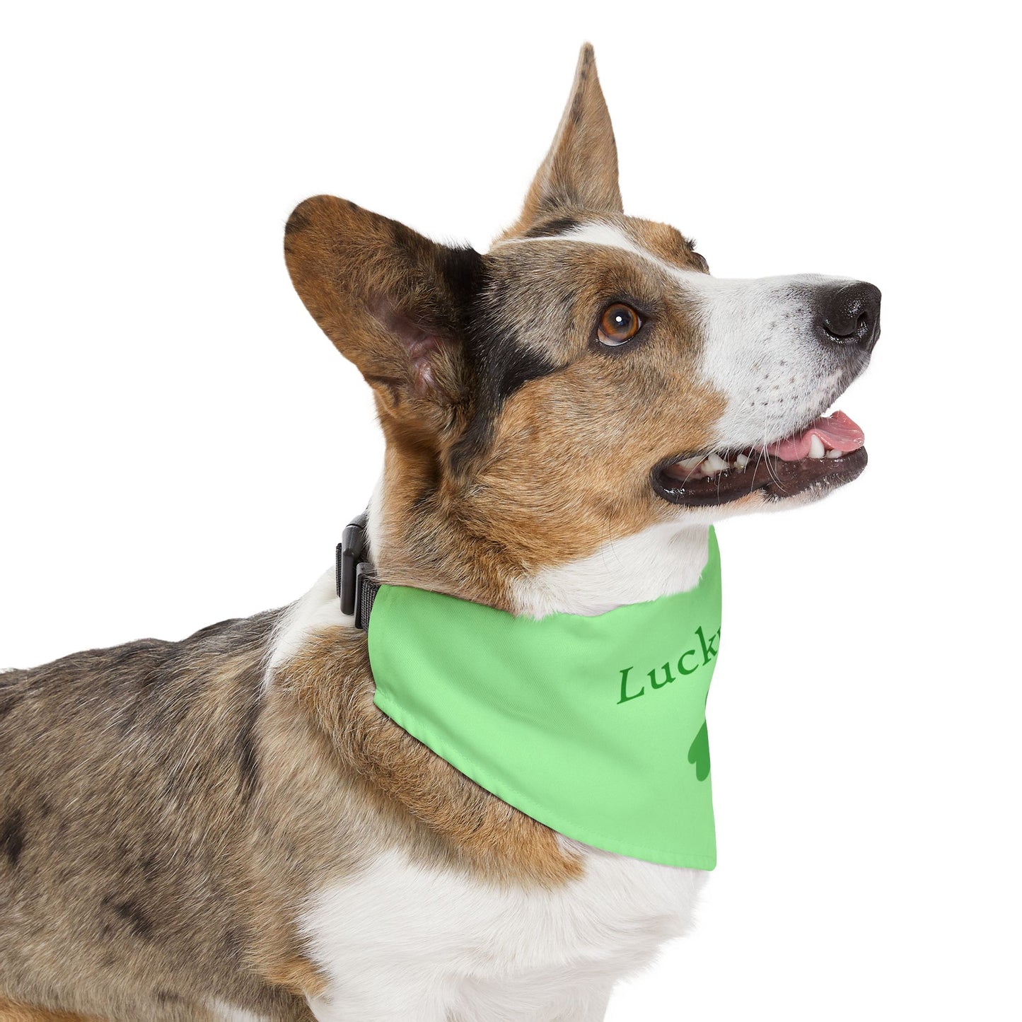 Lucky Dog Shamrock Pet Bandana Collar by Lynn Salem Creates