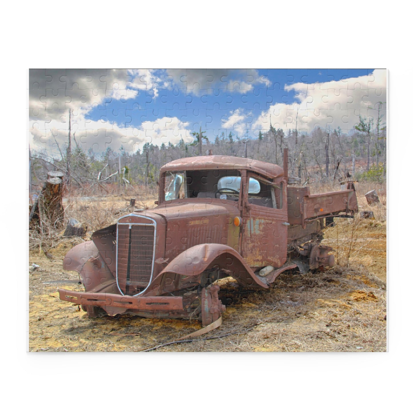 Jigsaw Puzzle - "Rusty Old Truck" (14 x 11 inches, 252pcs or 20 x 16 inches 500pcs) by Lynn Salem Creates