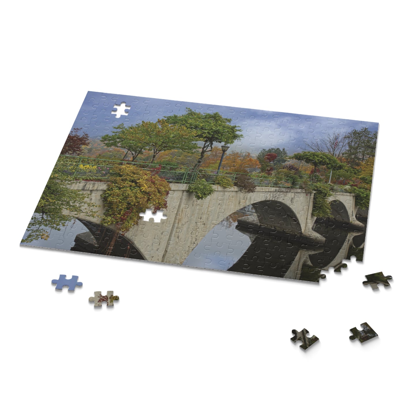 Jigsaw Puzzle -The Bridge of Flowers (14 in. x 11 in. 252 pcs, 20 in. x 16 in. 500 pcs) by Lynn Salem Creates