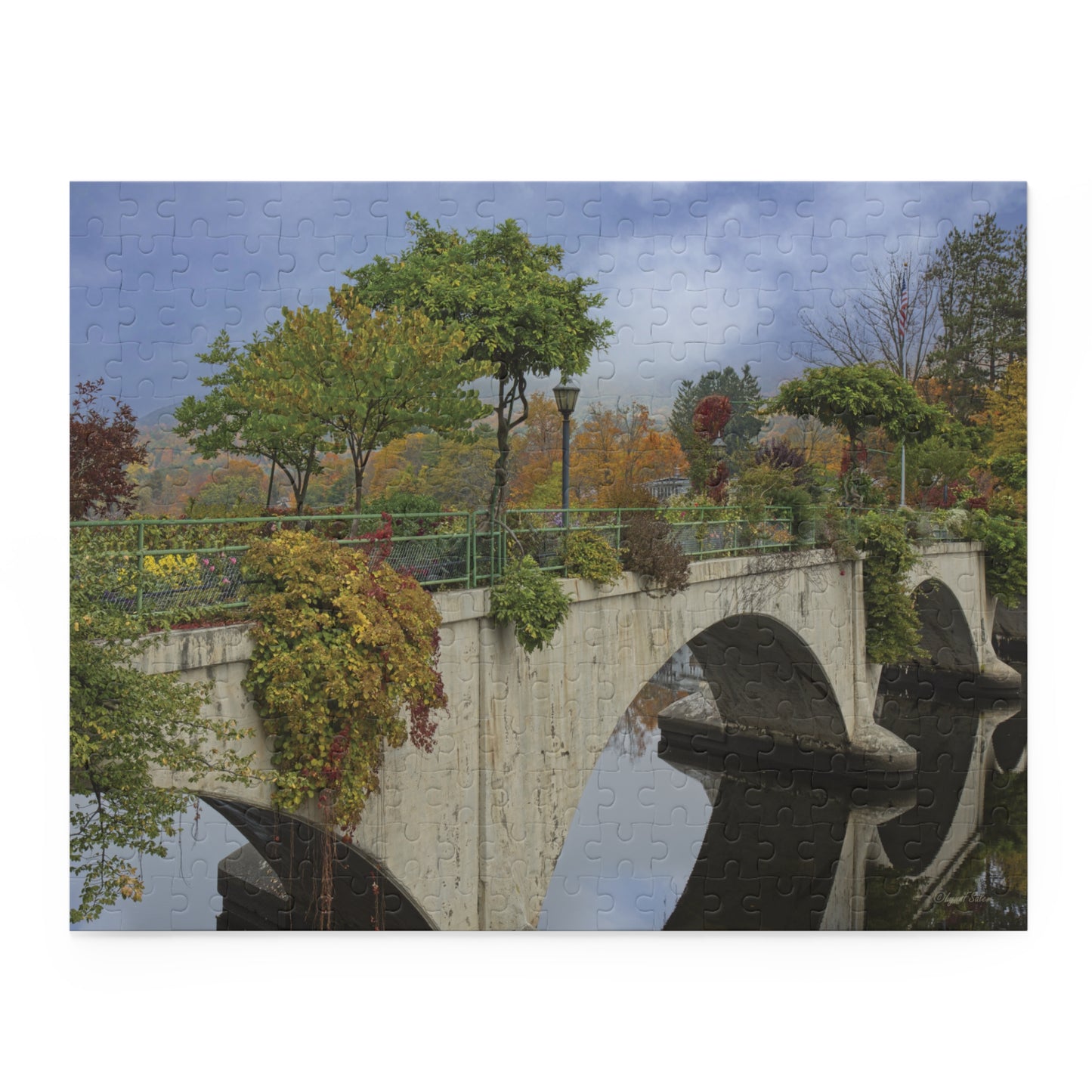 Jigsaw Puzzle -The Bridge of Flowers (14 in. x 11 in. 252 pcs, 20 in. x 16 in. 500 pcs) by Lynn Salem Creates