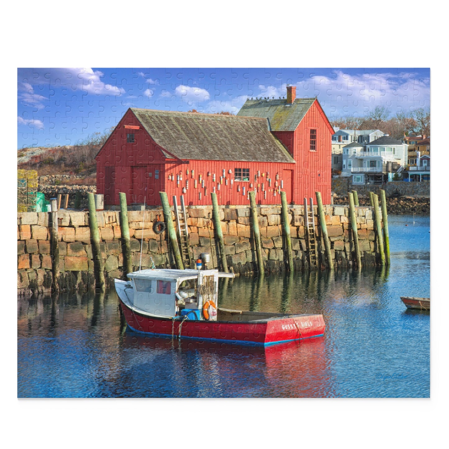 Jigsaw Puzzle - Motif No. 1 (14 in x 11 in 252 pcs, 20 in x 16 in 500 pcs) by Lynn Salem Creates