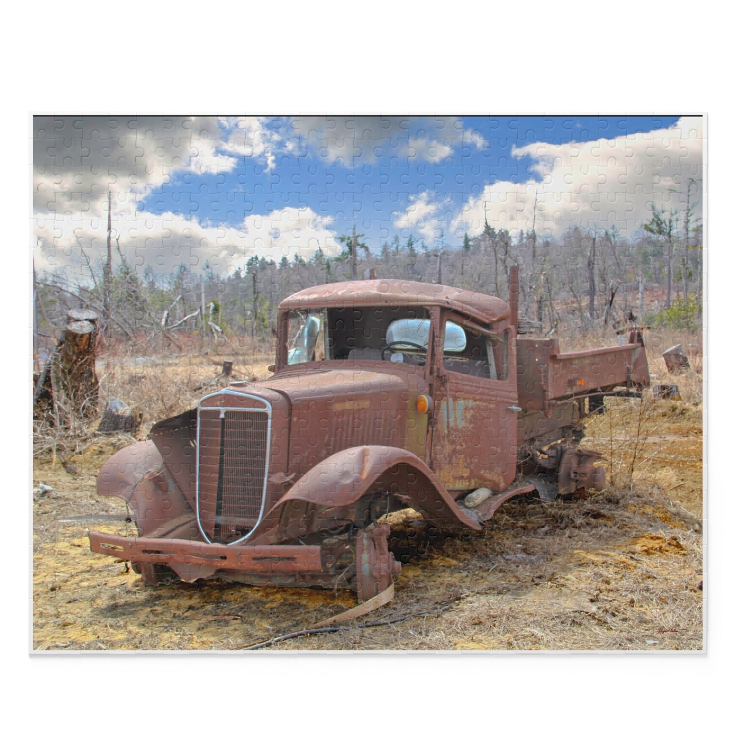 Jigsaw Puzzle - "Rusty Old Truck" (14 x 11 inches, 252pcs or 20 x 16 inches 500pcs) by Lynn Salem Creates