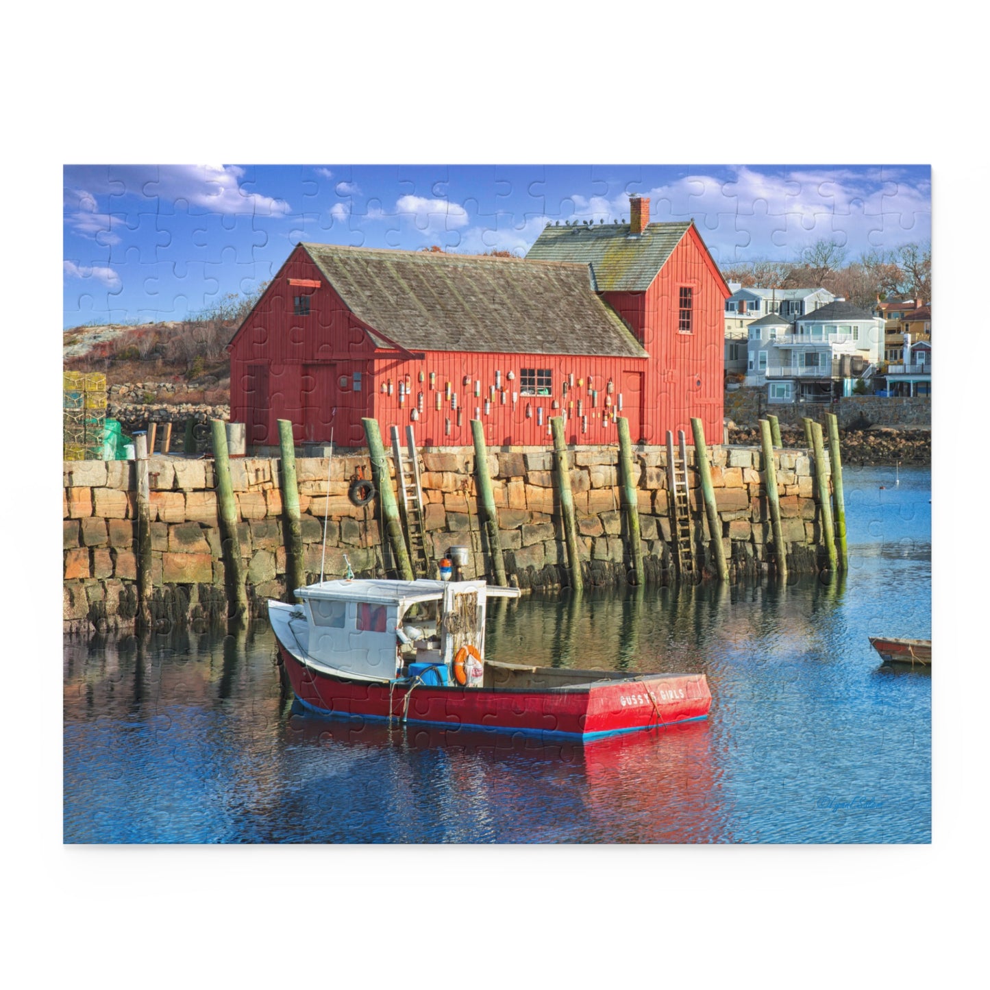 Jigsaw Puzzle - Motif No. 1 (14 in x 11 in 252 pcs, 20 in x 16 in 500 pcs) by Lynn Salem Creates