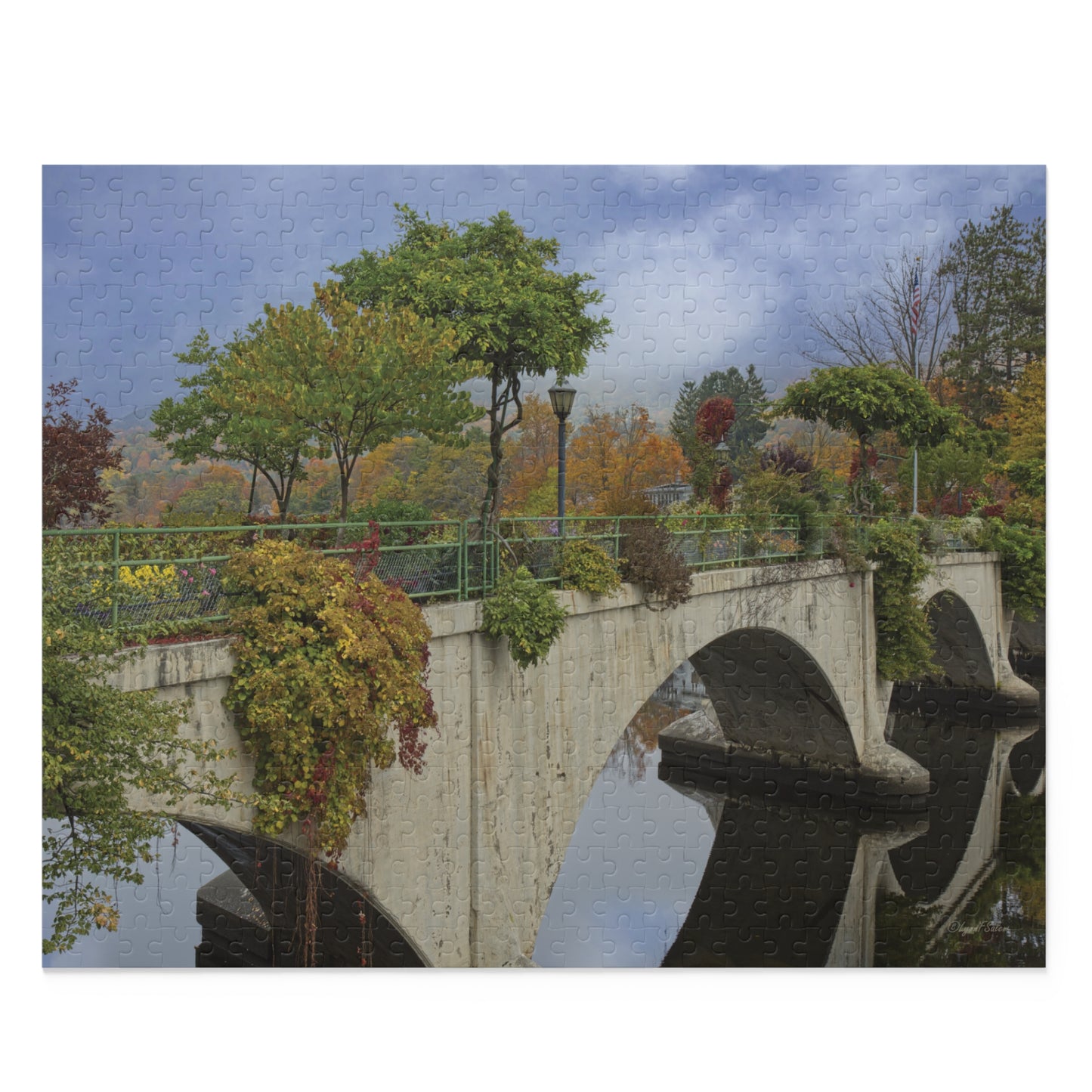 Jigsaw Puzzle -The Bridge of Flowers (14 in. x 11 in. 252 pcs, 20 in. x 16 in. 500 pcs) by Lynn Salem Creates